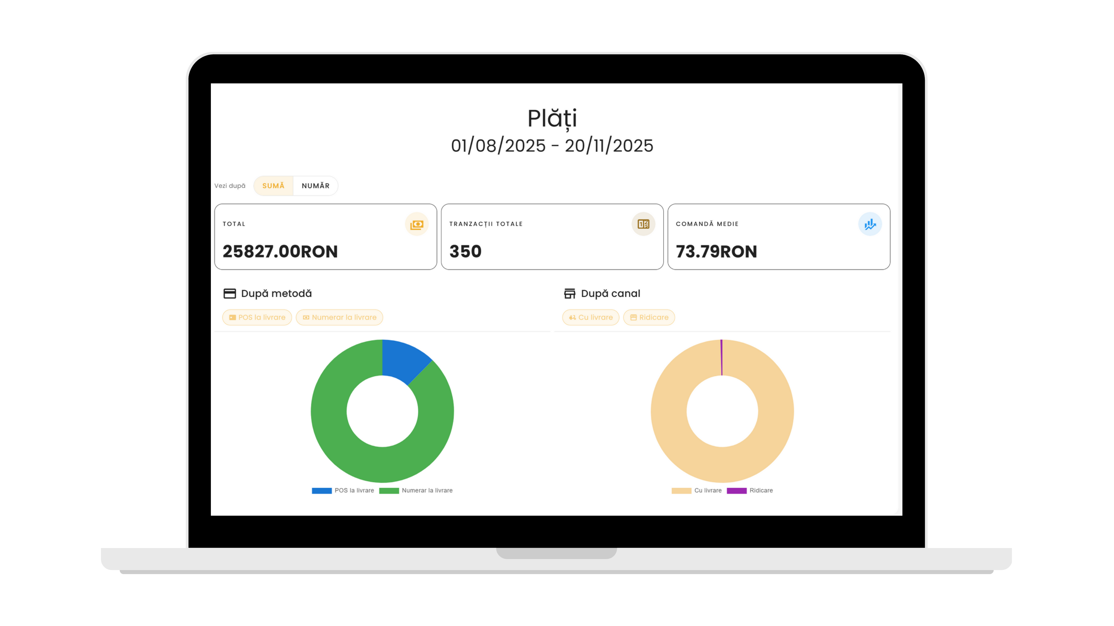 Beach business analytics and growth dashboard